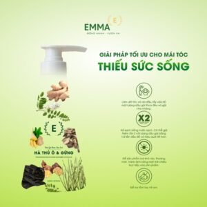 Dầu Gội Hà Thủ Ô & Gừng EMMA - Đen Tóc & Ngăn Rụng (380ml)